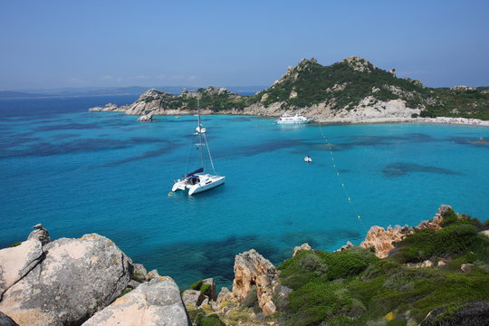 mare