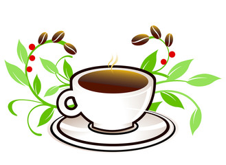 Ökologischer Kaffee