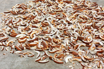 Noix de coco (séchage)
