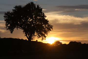 Obraz na płótnie Canvas zachód słońca 1