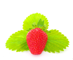 strawberry