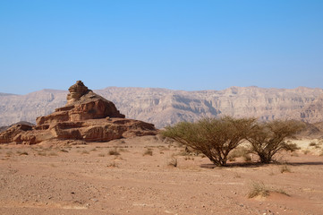 desert views