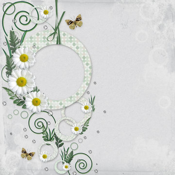 Frame with camomile, leaf and  butterfly