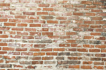 Obraz premium Old Brick Wall Background