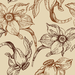 Floral seamless pattern with narcissus