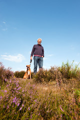 heather landscape