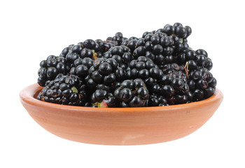 Wild blackberries in a terracotta bowl