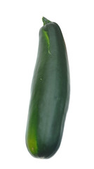 Large Zucchini