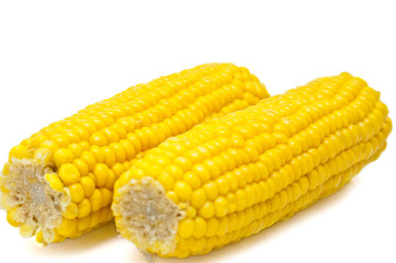 corn isolated on white