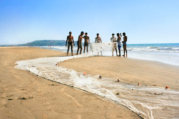 Fishermen collecting ther catch from net on the beach in Asvem
