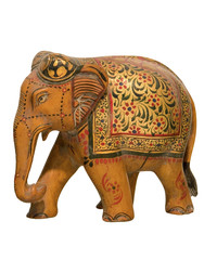 elephant,Jaipur ,India