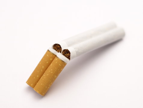 stile papyros isolate