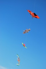 Colored kites on blue sky, free copy space