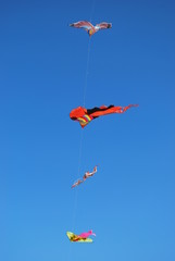 Fototapeta na wymiar Colored kites on blue sky, free copy space