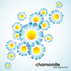 chamomile background