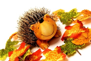 Igel im Herbstlaub