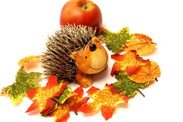 Igel mit Apfel