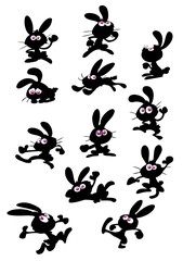 collection of funny rabbits