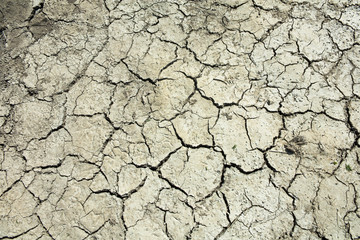 Cracked Mud