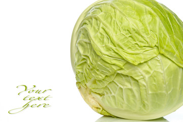 Cabbage