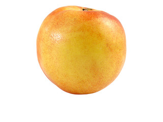 Nectarine