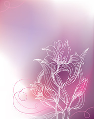 Background with lily flowers