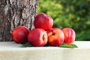 ripe nectarines