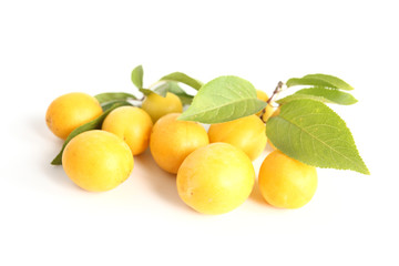 yellow  plums