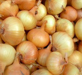 Onions.