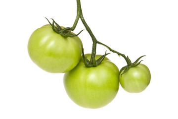 Three green tomatoes isolated on white
