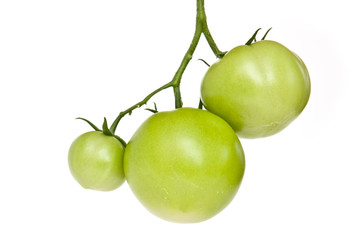 Three green tomatoes isolated on white