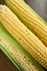 Raw corn on the cob