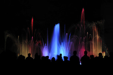 crowd of people looking at the colored water show