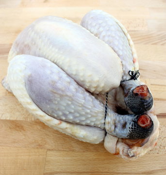 poulet noir de challans