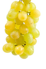 Grape isolated