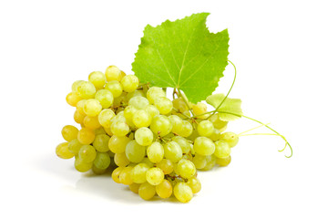 Grape isolated
