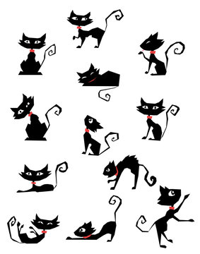 collection of black cats