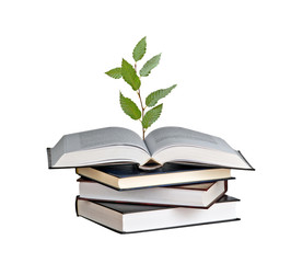 seedling growing from an open book