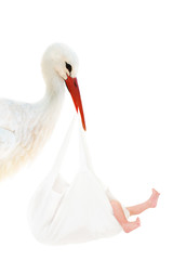 Storch mit Baby im weißen Beutel
