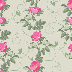 Roses seamless background