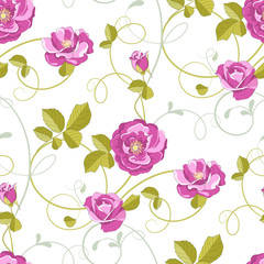 Roses seamless background