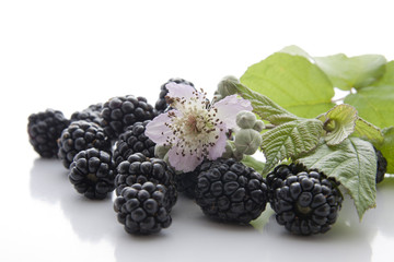 Mures,fleur et feuilles