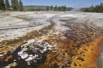 Bodenverkrustungen Yellowstone