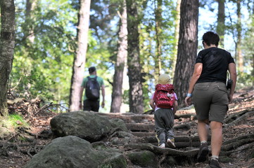 Fototapeta premium wandern