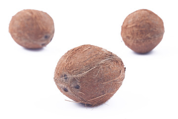 Three coconuts on white background