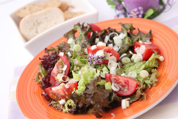 Frischer Salat