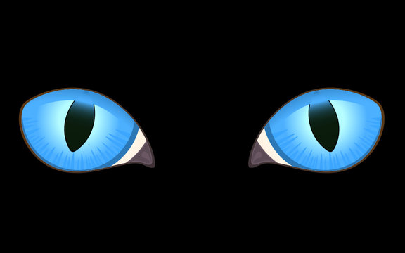 vector image of black cat eyes in darkness