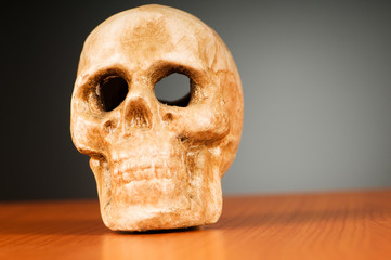 Skull of human against the gradient background