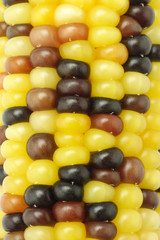 Colorful Indian corns background