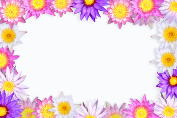 lotus picture frame.